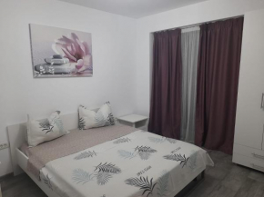 Отель Darius Apartament  Констанца